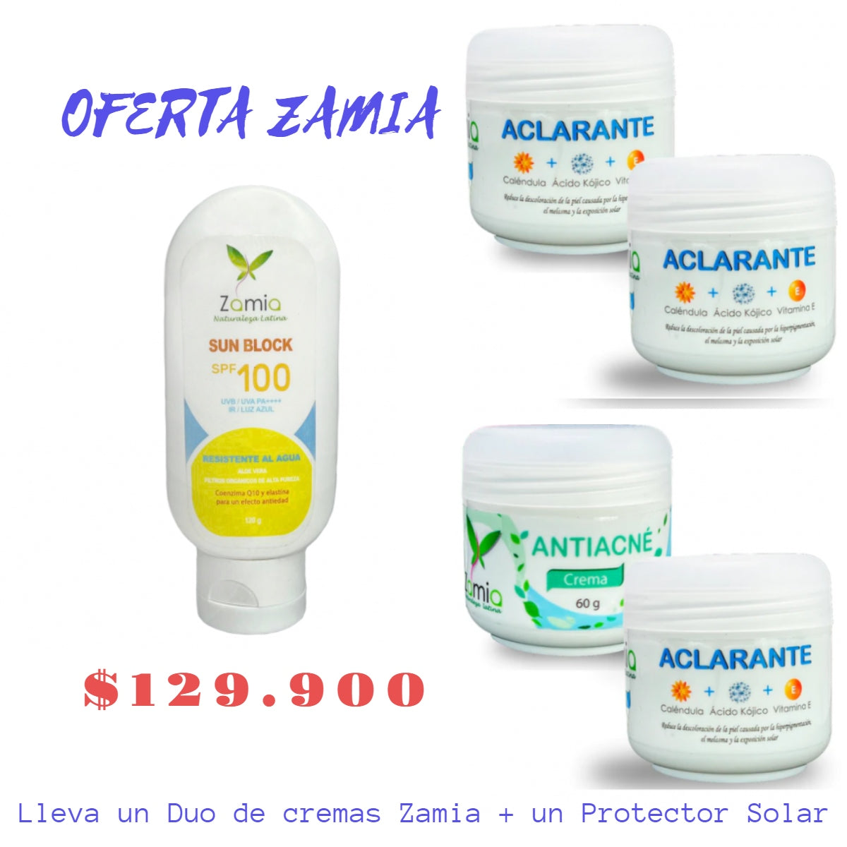 OFERTA ZAMIA