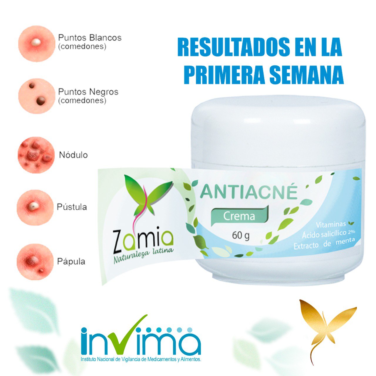 OFERTA ZAMIA