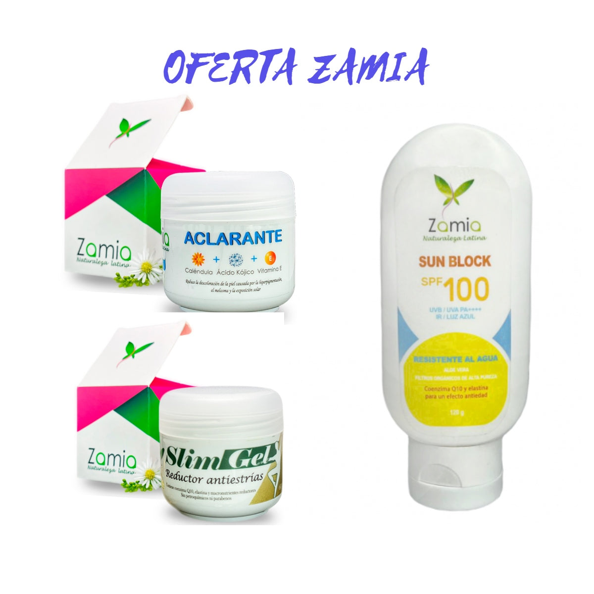 OFERTA ZAMIA