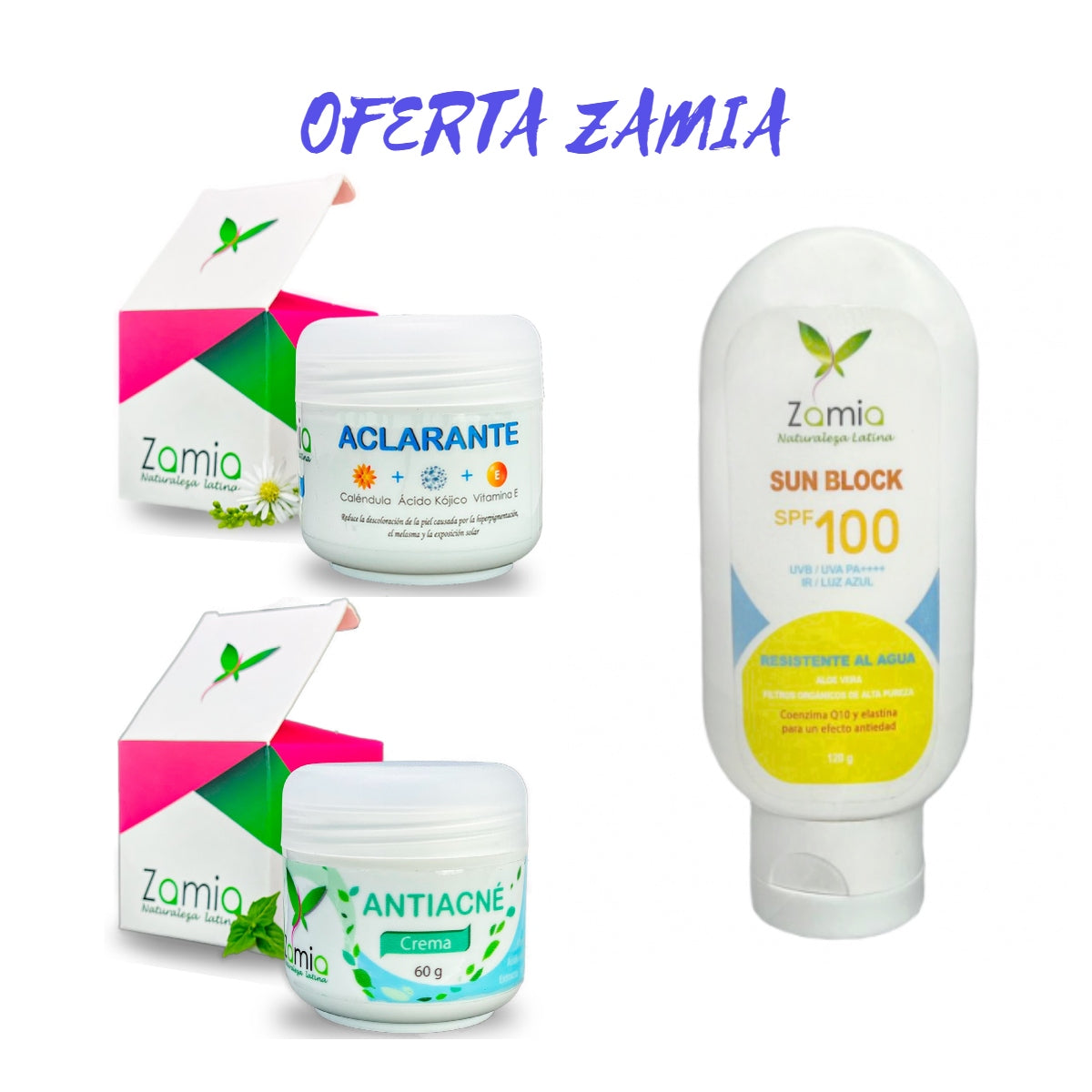 OFERTA ZAMIA