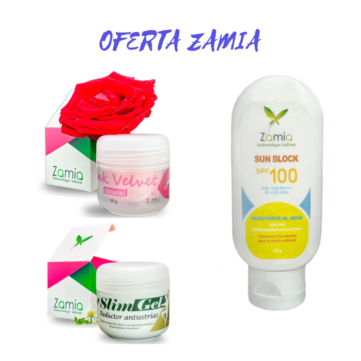 OFERTA ZAMIA