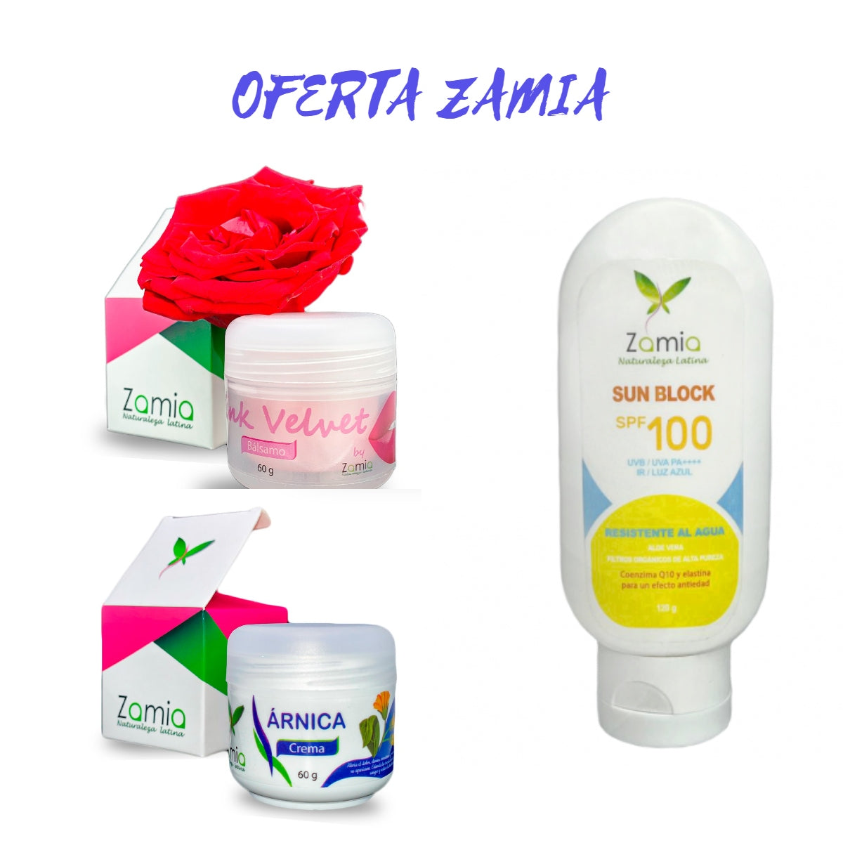 OFERTA ZAMIA