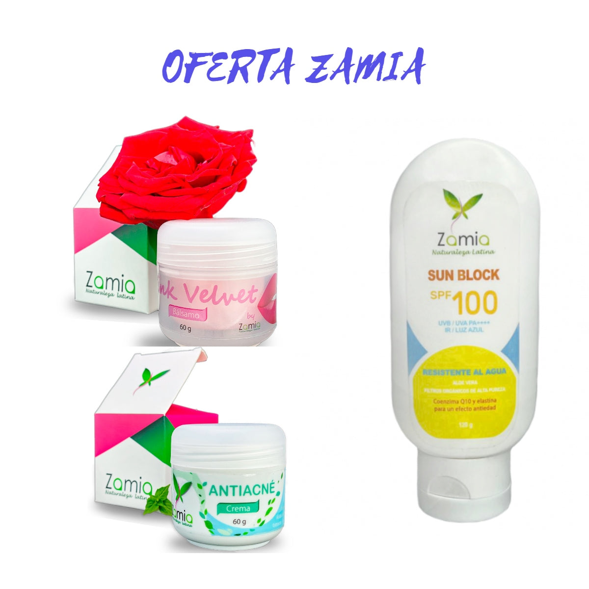 OFERTA ZAMIA