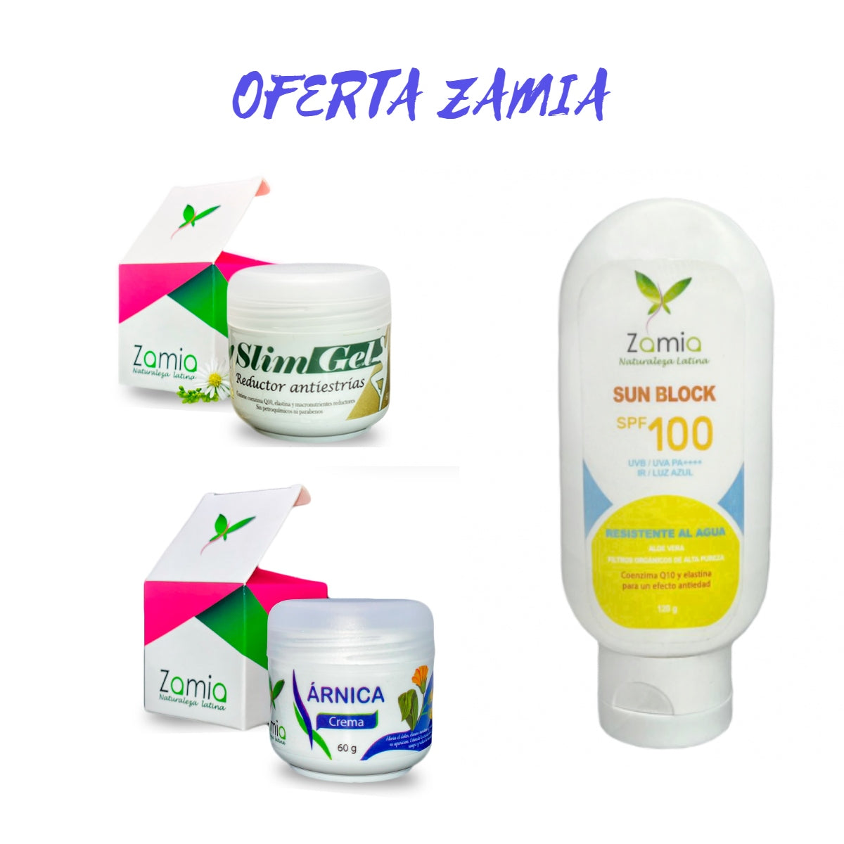 OFERTA ZAMIA