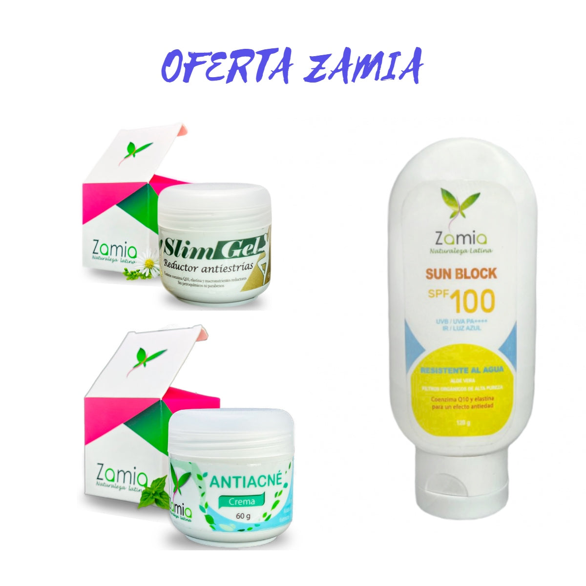 OFERTA ZAMIA