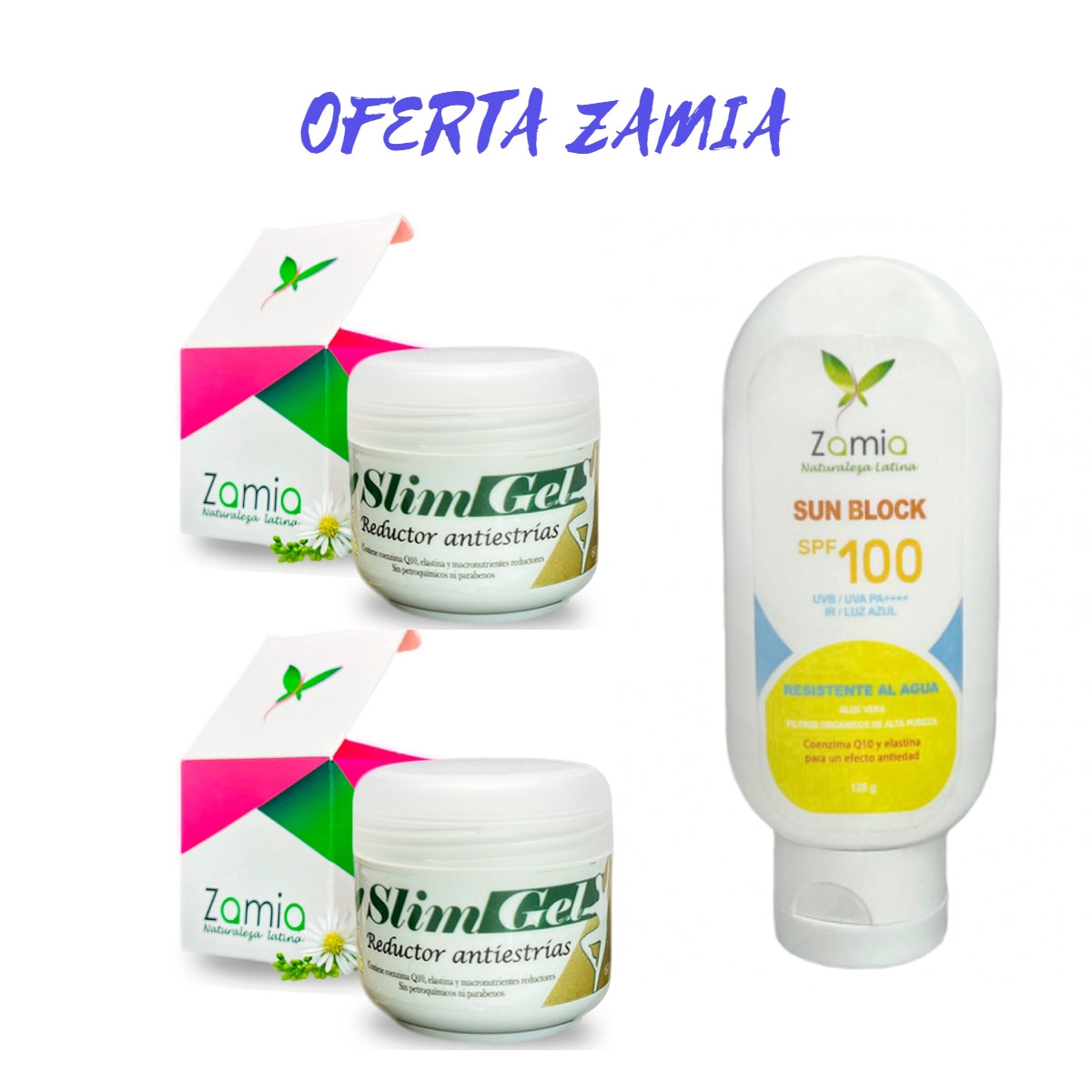 OFERTA ZAMIA