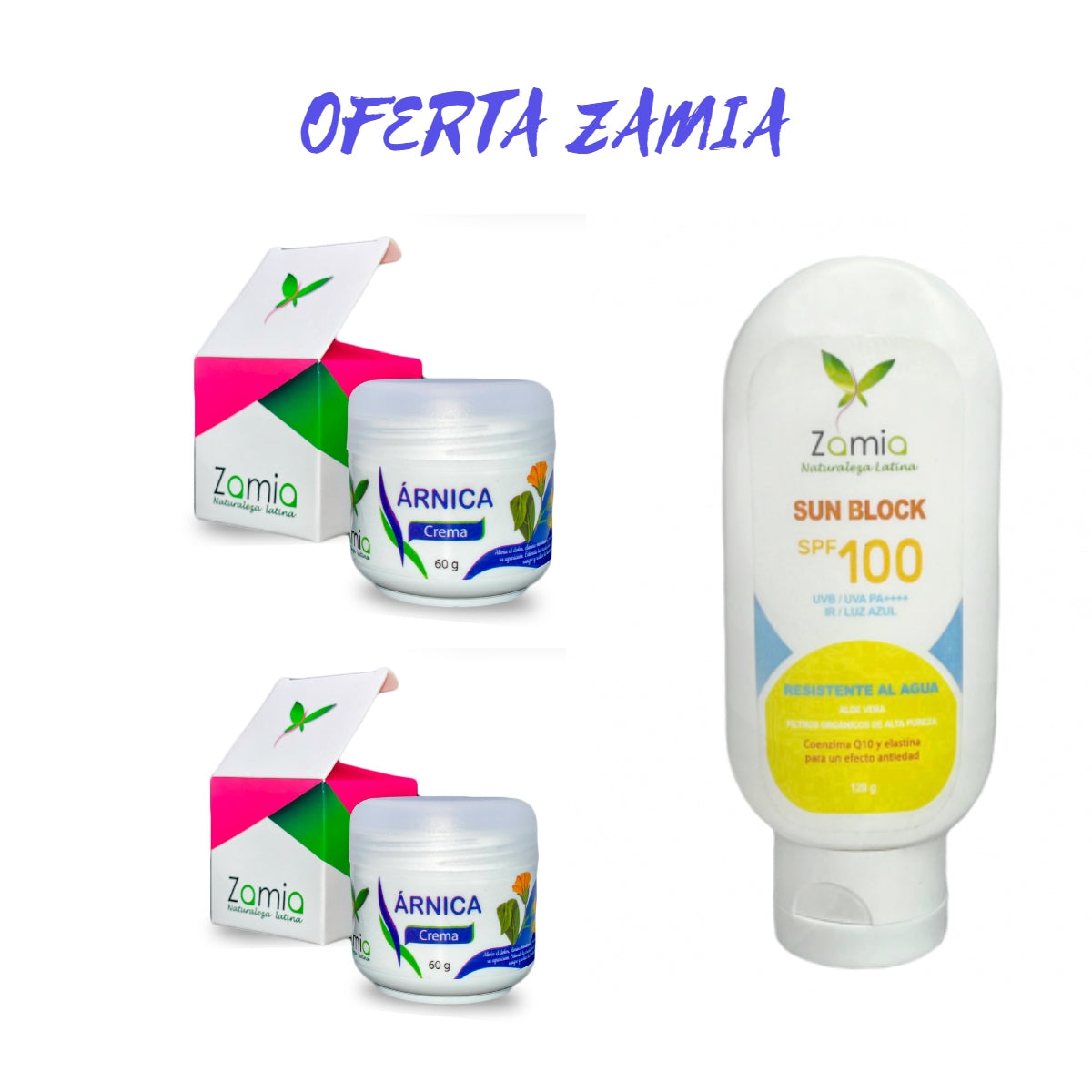 OFERTA ZAMIA