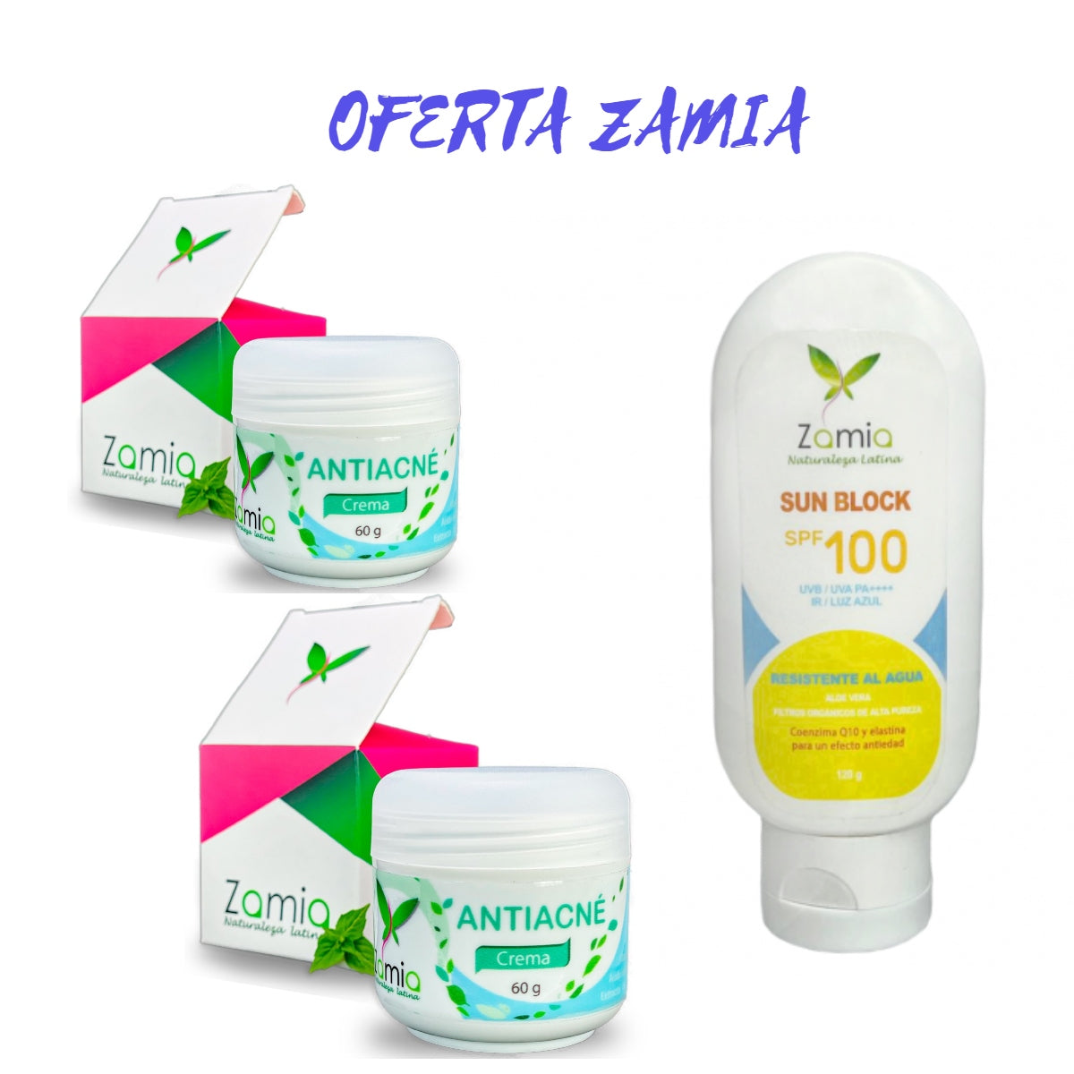 OFERTA ZAMIA