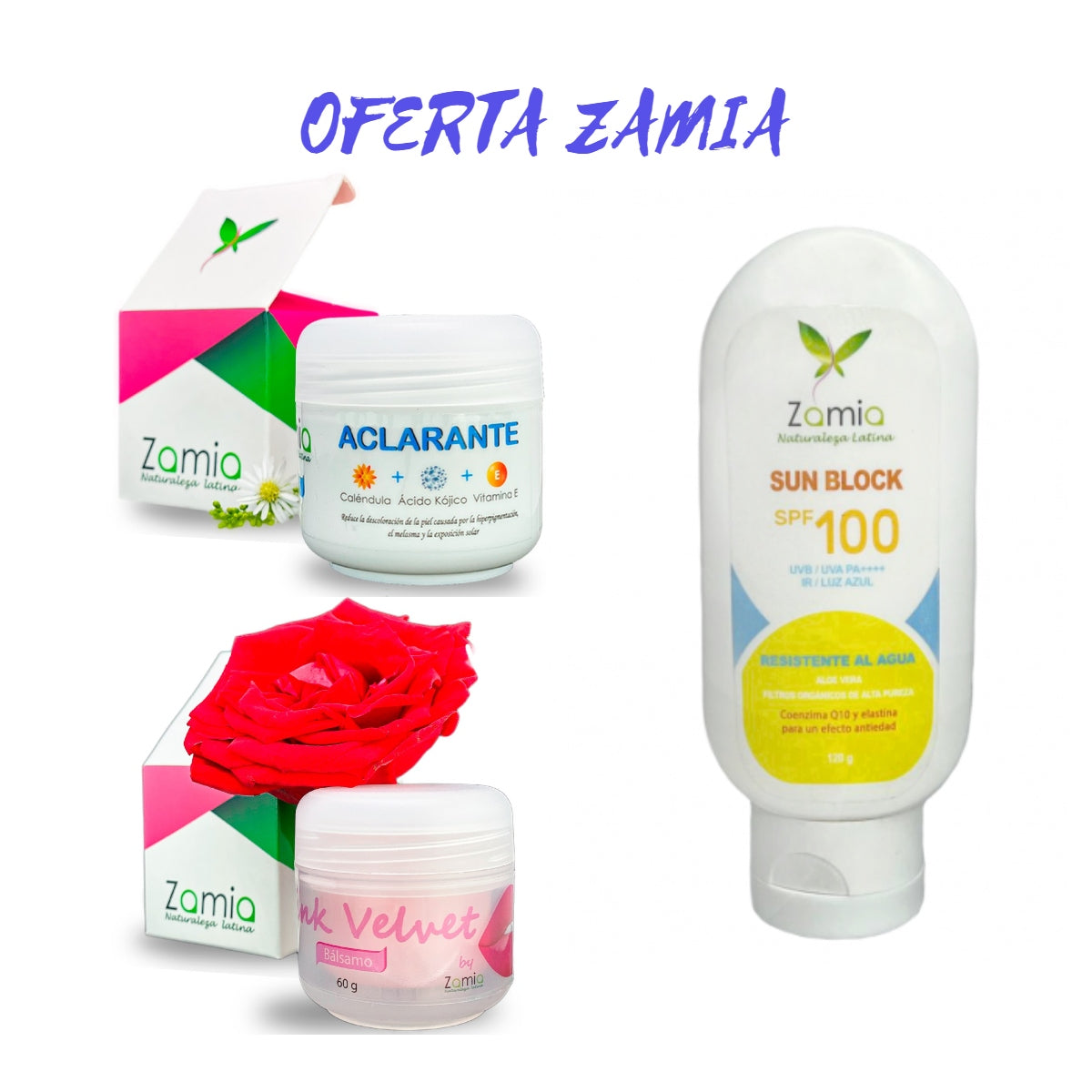 OFERTA ZAMIA